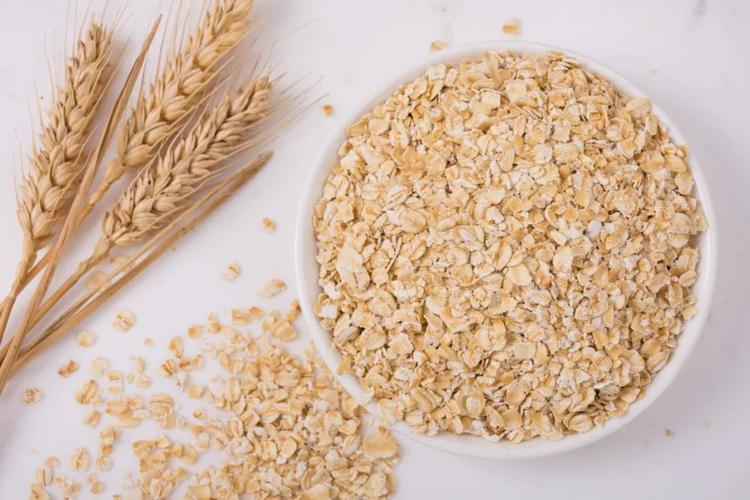 borongan oat bubuk protéin