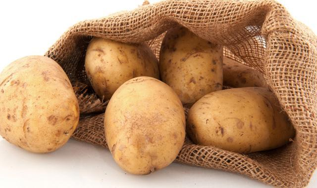 konsentrasi protéin kentang